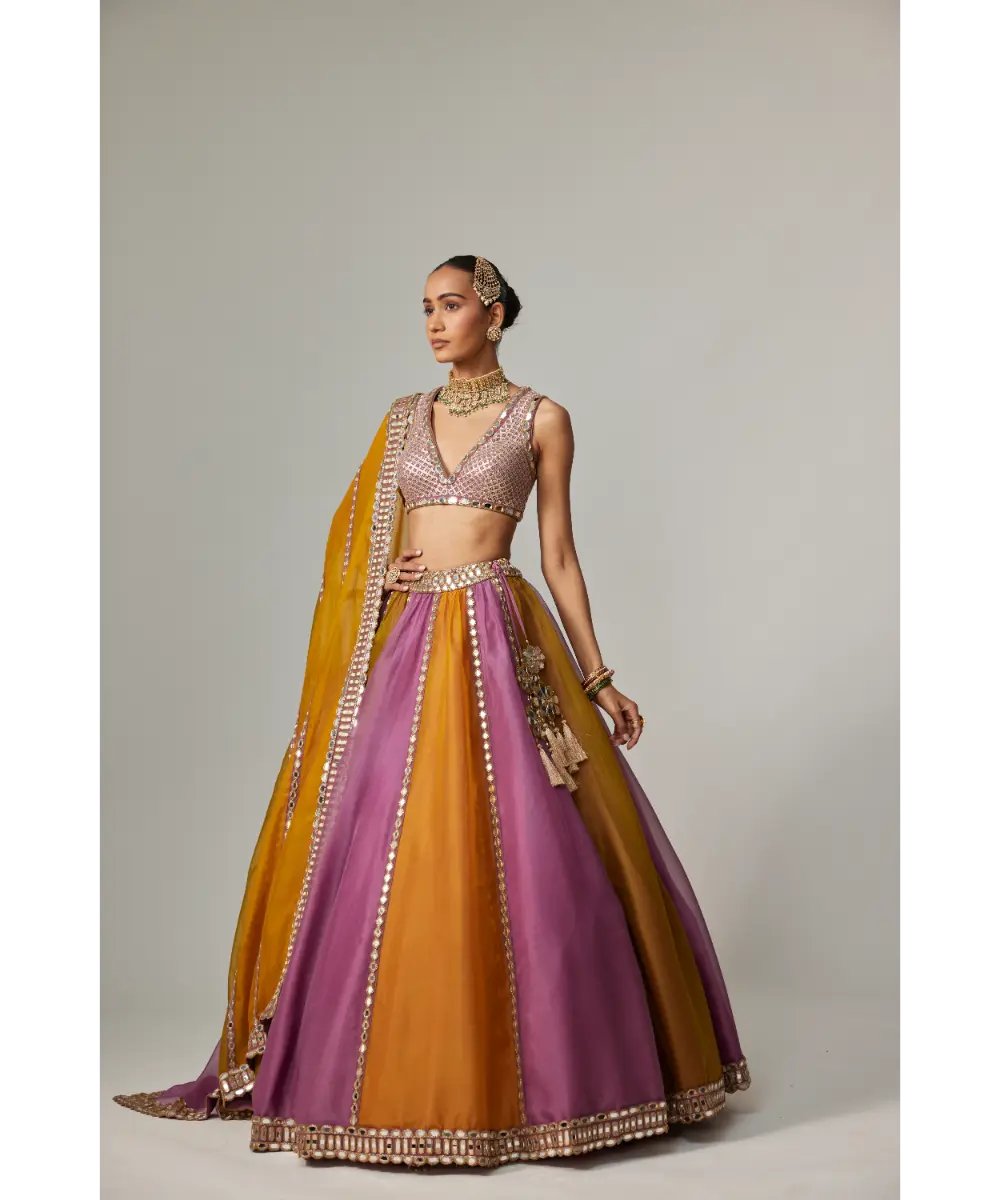 VVANI VATS - Mustard multicolor Linear Lehenga with V Neck Blouse